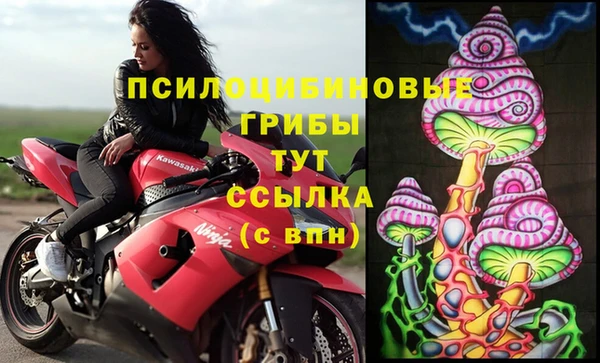 таблы Гусев