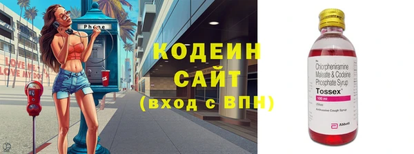 таблы Гусев