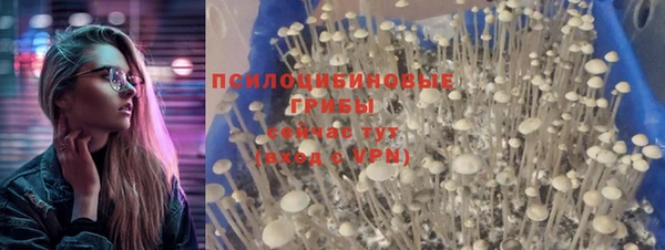 таблы Гусев